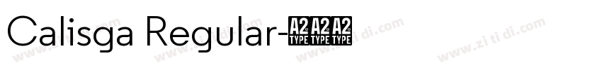Calisga Regular字体转换